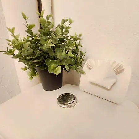 Apartment Joli A 3 Min A Pied Du Port De Toulon